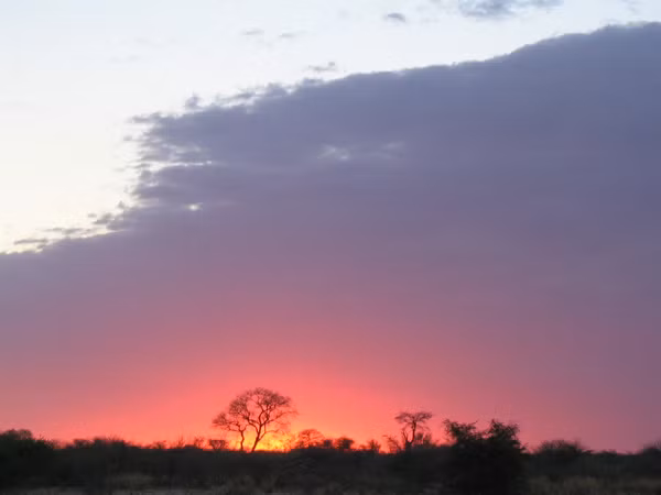 Số 3: Botswana