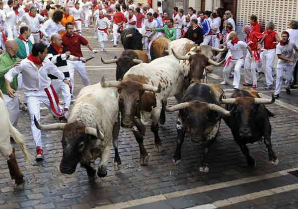 Nín thở vì… bò tót ảnh 3 Runners take the Estafeta corner next to Penajara fighting bulls during the first running of the bulls on the second day of the San Fermin festival in Pamplona July 7, 2010.