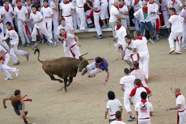 Nín thở vì… bò tót ảnh 2 A reveller is tossed by a fighting cow during festivities in the bull ring after the first running of the bulls on the second day of the San Fermin festival in Pamplona July 7, 2010.