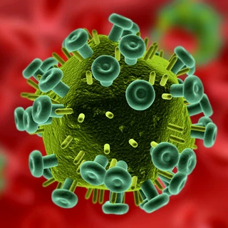 Phát hiện kháng thể chống virus HIV