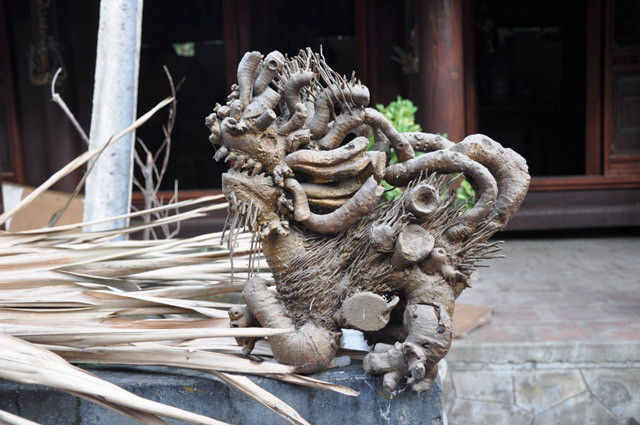 Rồng đậu. Ảnh: Đậu Bình Rồng đậu. Ảnh: Đậu Bình