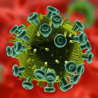 Phát hiện kháng thể chống virus HIV