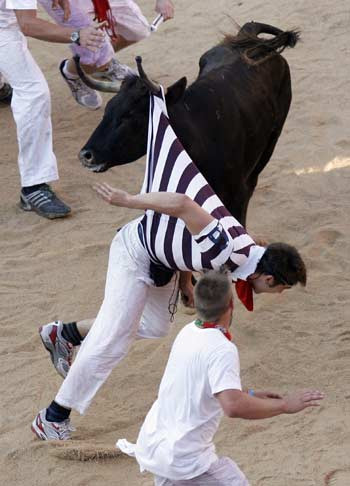 A reveller is tossed by a fighting cow during festivities in the bull ring after the first running of the bulls on the second day of the San Fermin festival in Pamplona July 7, 2010