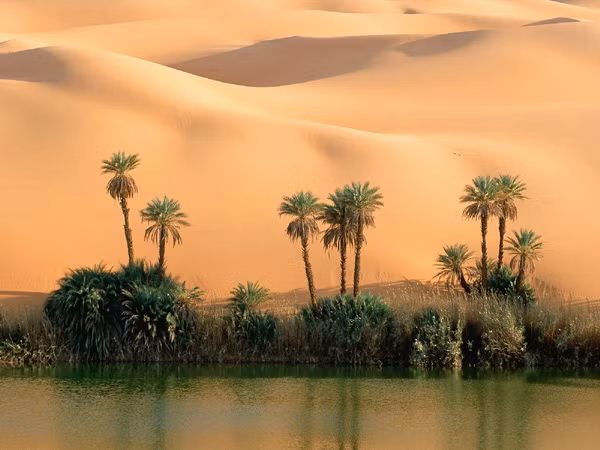 Số 2: Libya