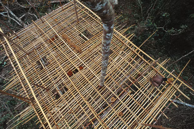 A man works on the roof of a tree house