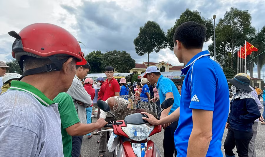 Kết thúc cuộc thi số heo được bán lại cho du khách với giá 110.000 đồng/kg.