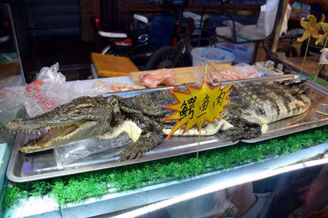 Nhung mon do an vat ky quac khong danh cho nguoi yeu tim - Anh 12