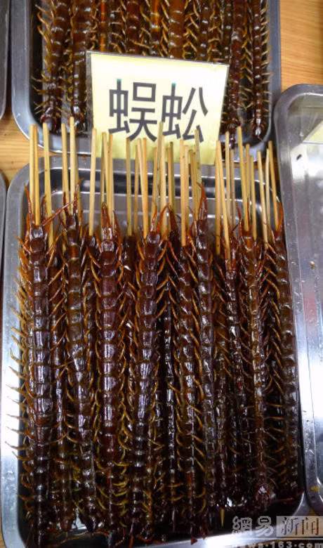 Nhung mon do an vat ky quac khong danh cho nguoi yeu tim - Anh 9