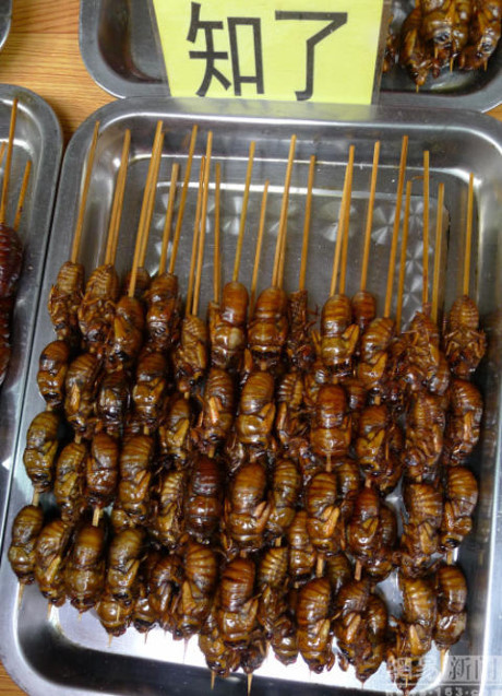 Những món đồ ăn vặt kỳ quặc không dành cho người yếu tim - Ảnh 6 Nhung mon do an vat ky quac khong danh cho nguoi yeu tim - Anh 6
