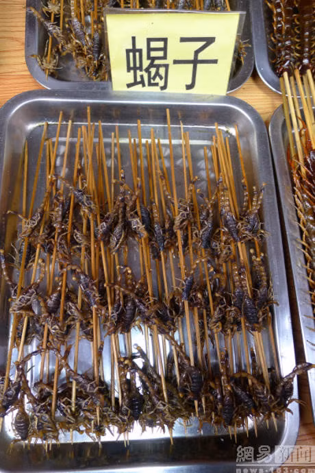 Nhung mon do an vat ky quac khong danh cho nguoi yeu tim - Anh 10