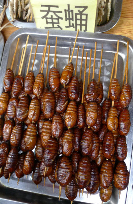 Những món đồ ăn vặt kỳ quặc không dành cho người yếu tim - Ảnh 5 Nhung mon do an vat ky quac khong danh cho nguoi yeu tim - Anh 5