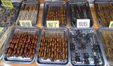 Những món đồ ăn vặt kỳ quặc không dành cho người yếu tim - Ảnh 3 Nhung mon do an vat ky quac khong danh cho nguoi yeu tim - Anh 3