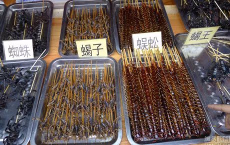 Nhung mon do an vat ky quac khong danh cho nguoi yeu tim - Anh 4