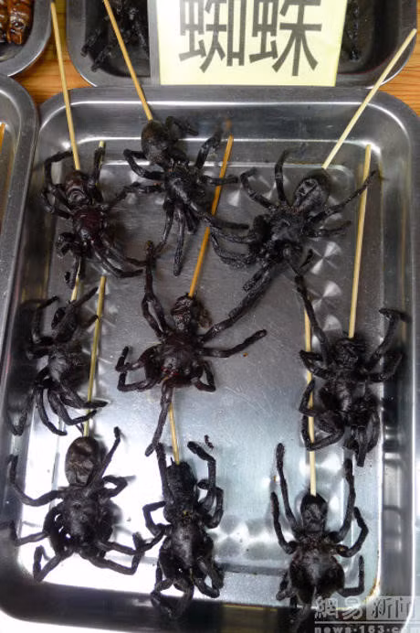 Nhung mon do an vat ky quac khong danh cho nguoi yeu tim - Anh 8