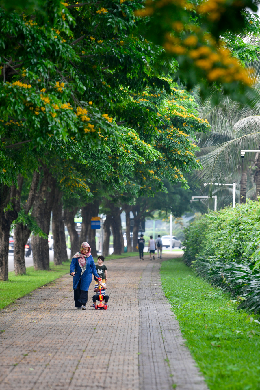 Hoa vàng trên nền lá xanh mướt tạo nên một khung cảnh yên bình giữa phố xá nhộn nhịp. Hoa vàng trên nền lá xanh mướt tạo nên một khung cảnh yên bình giữa phố xá nhộn nhịp.