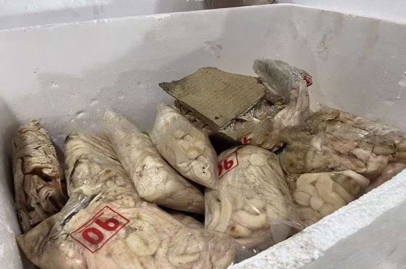 Nhiều thực phẩm bị phát hiện đã có mùi hôi thối.