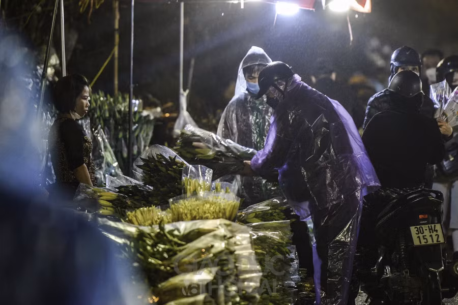 Nhiều tiểu thương phải chia nhỏ hoa thành từng bó để bán, thay vì bó to như mọi năm. Giá mỗi bó dao động từ 40.000 - 50.000 đồng/tùy loại.