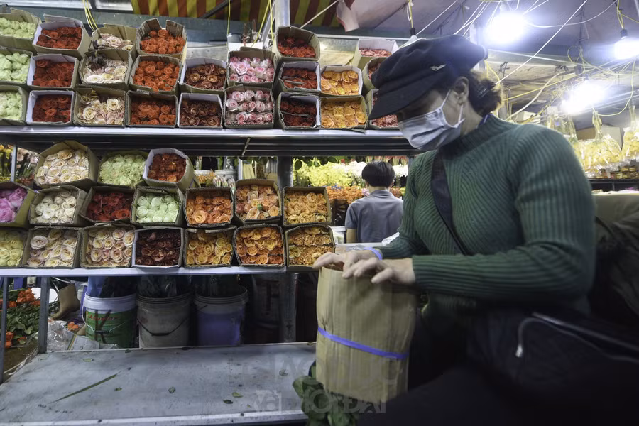 Chợ hoa lớn nhất Hà Nội đìu hiu trước ngày 8/3 ảnh 4