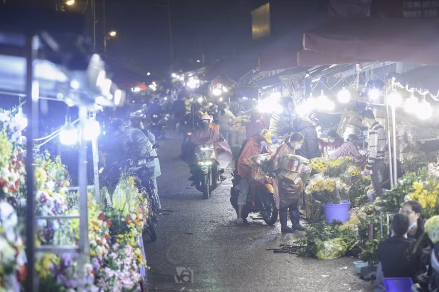 Chợ hoa lớn nhất Hà Nội đìu hiu trước ngày 8/3 ảnh 9