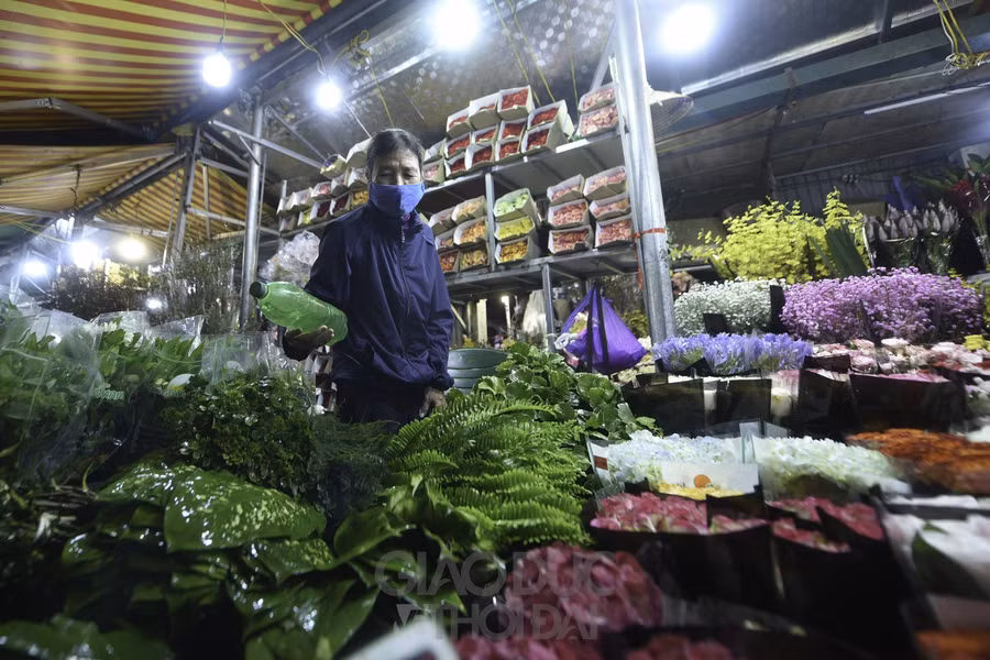 Một tiểu thương tại chợ Quảng An cho biết: “Lượng khách mua hoa năm nay ít hơn mọi năm, nếu như năm ngoái có 10 người mua thì năm nay chỉ có 1".