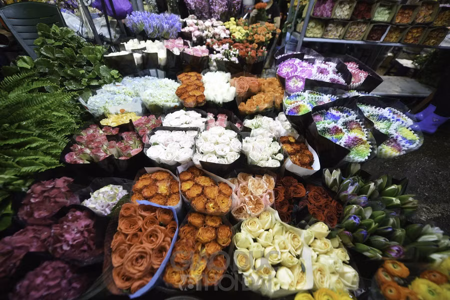 Chợ hoa lớn nhất Hà Nội đìu hiu trước ngày 8/3 ảnh 6