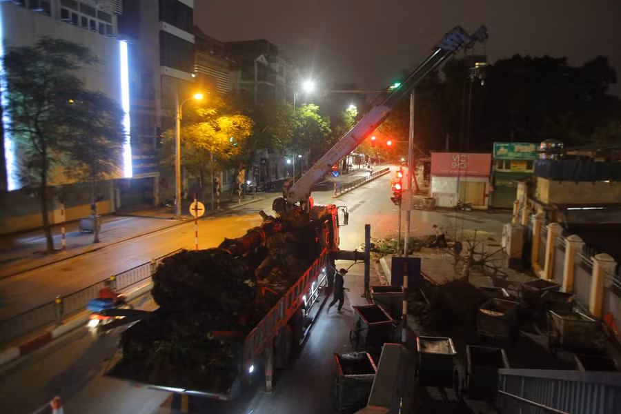 Đánh chuyển xuyên đêm nhiều cây trên phố Chùa Bộc ảnh 1