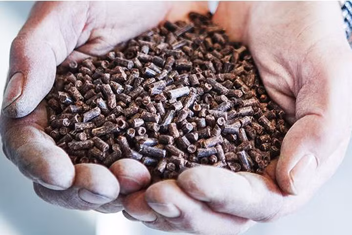 Một loại protein có thể ăn được được vi khuẩn sản sinh một cách tự nhiên có thể giúp nuôi sống thế giới.