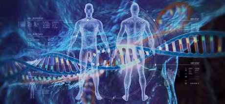 Lan dau tien chinh sua gene duoc thuc hien tren nguoi - Anh 1