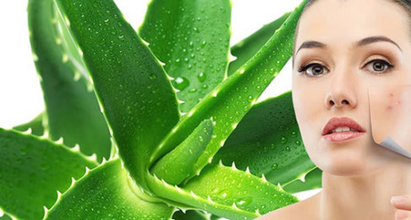 Cách tự trị mụn và vết sẹo thâm bằng các nguyên liệu tự nhiên trong bếp của bạn - Ảnh 1 Cach tu tri mun va vet seo tham bang cac nguyen lieu tu nhien trong bep cua ban - Anh 1