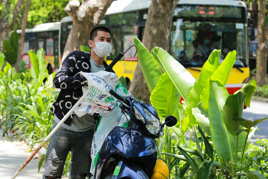 Những người trèo hái sấu này cho biết, họ thường chọn vào buổi trưa hoặc chiều để trèo hái sấu, hái xong có thể bán luôn.