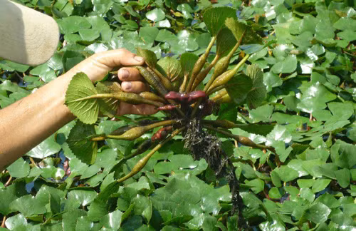 11051574-742807552501697-15384-4957-2251