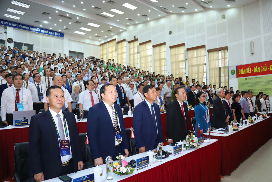 Các đại biểu tham dự hội nghị.