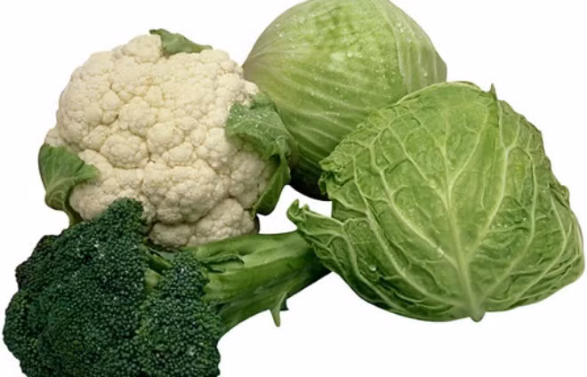 Ăn gì giúp thanh lọc phổi