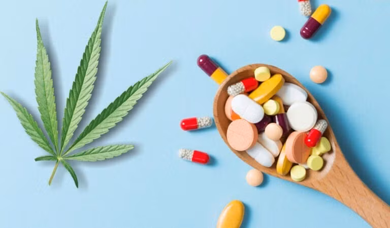 Kết hợp Đông – Tây y khi điều trị viêm mũi xoang là giải pháp được đánh giá cao