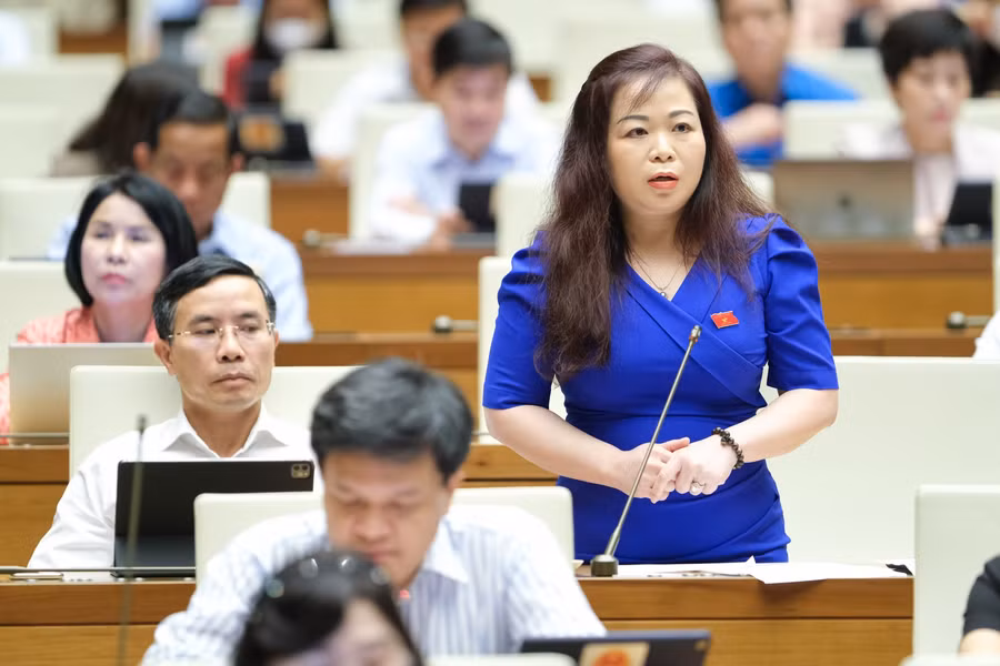 Đại biểu Quốc hội Vũ Thị Lưu Mai - Đoàn ĐBQH thành phố Hà Nội