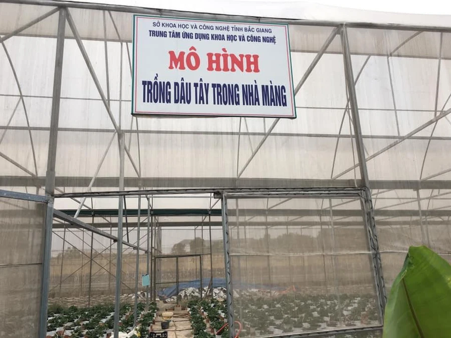 Một góc Trung tâm ứng dụng Khoa học và Công nghệ tỉnh Bắc Giang.