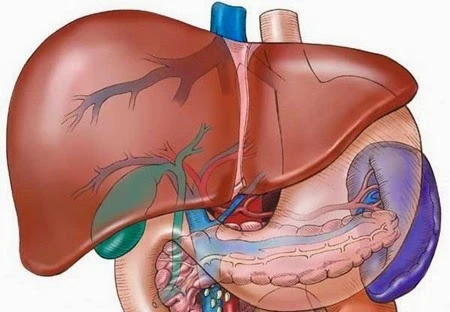 Dấu hiệu nhận biết ung thư gan