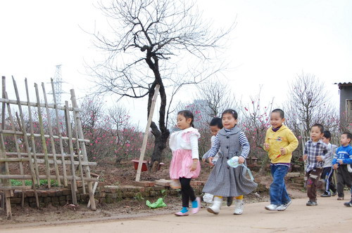 Các em học sinh tại một trường tiểu học gần đó cũng được các cô tổ chức dã ngoại ngắm hoa đào