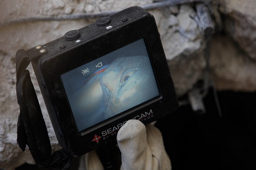 U.S. rescue worker Sam Grey, of the Fairfax County Urban Search and Rescue, holds a monitor showing a woman, Jean Luis Sainte Heleine, 28, alive and conscious, buried under the collapsed University of Port-au-Prince, Saturday, Jan. 16, 2010