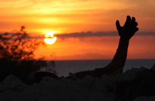 In the outskirts of Port Au Prince, bodies, apparently of the victims of the earthquake, are dumped in piles just off the roadside
