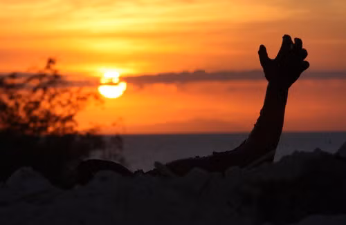 Ở ngoại ô Port Au Prince, nhiều thi thể bị chất thành đống bên đường In the outskirts of Port Au Prince, bodies, apparently of the victims of the earthquake, are dumped in piles just off the roadside