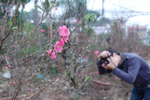 Người đam mê nhiếp ảnh tìm đến để sáng tạo những tác phẩm nghệ thuật
