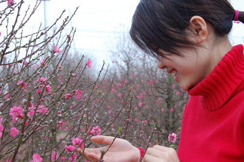 Các thiếu nữ trở nên duyên dáng hơn bên hoa đào thắm 