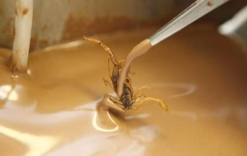 Katy is quick to point out that everything at HOTLIX is edible. 