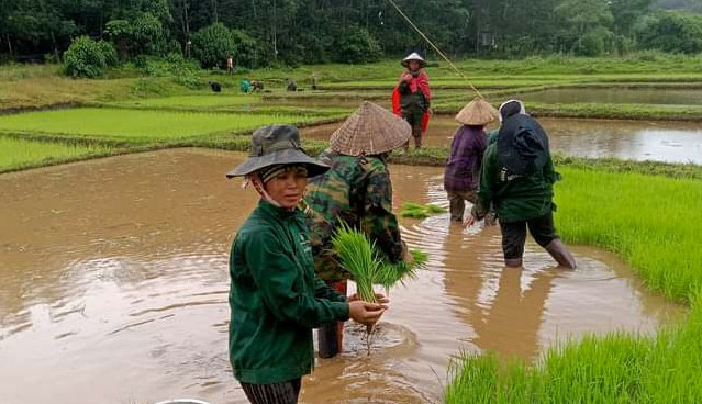 Thành viên mô hình "Vần đổi công gây quỹ giúp đỡ phụ nữ khó khăn" cấy lúa giúp đỡ chị em khó khăn.