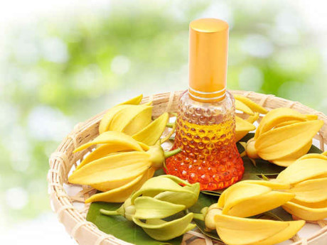 7 loai dau tu nhien co the lam dep da mat thay kem duong am - Anh 2