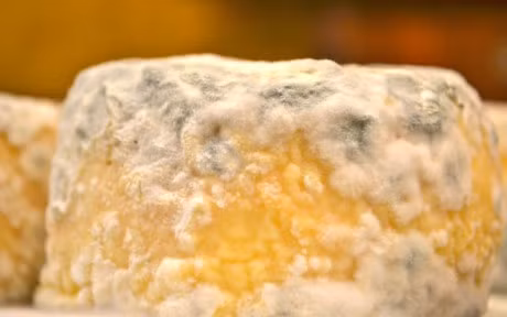 Cu tiep tuc an nhung loai thuc pham nay, dung hoi vi sao gan 