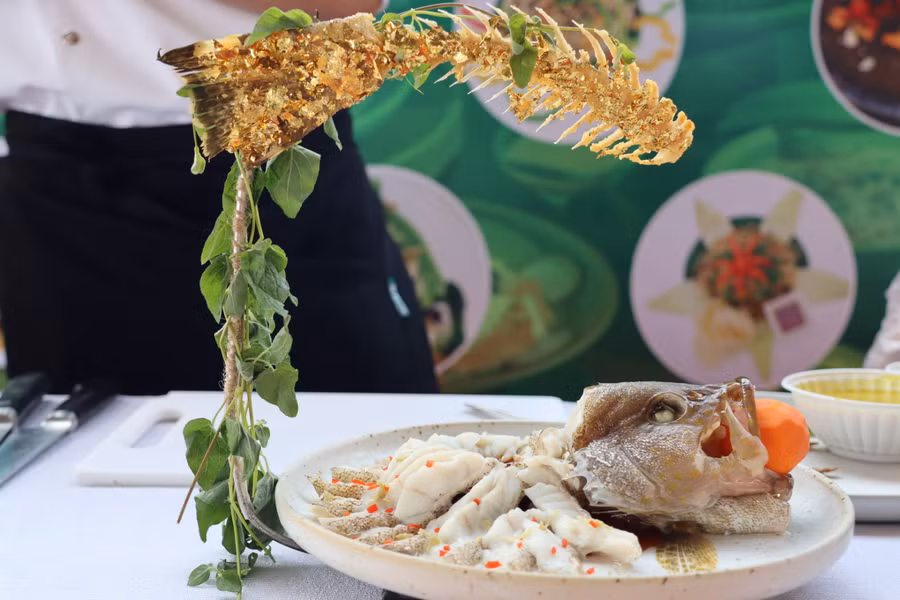 Xác lập kỷ lục Việt Nam với 120 món ăn chế biến từ sâm dây