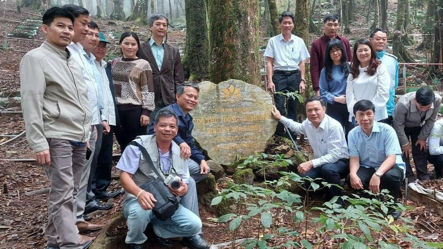 Thứ trưởng Bộ Lao động - Thương binh và Xã hội Lê Văn Thanh cùng đoàn công tác đi thăm vườn sâm tại huyện Tu Mơ Rông.