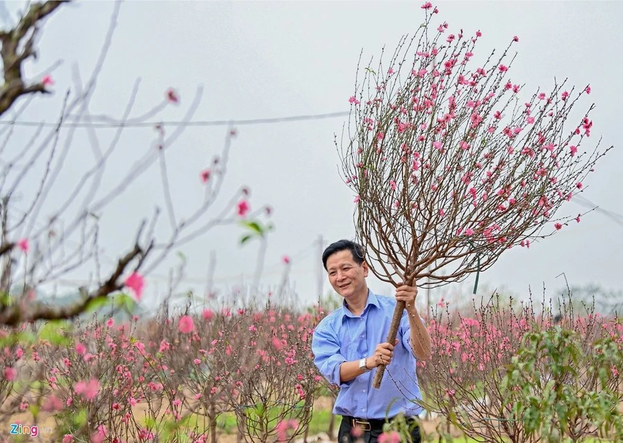 Ảnh minh hoạ.